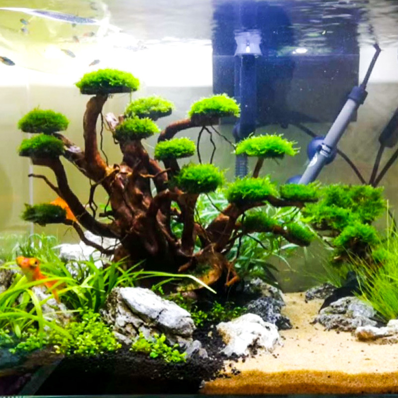 Aquarium Plant Roots - Декоративный элемент для аквариума: готовый корневой