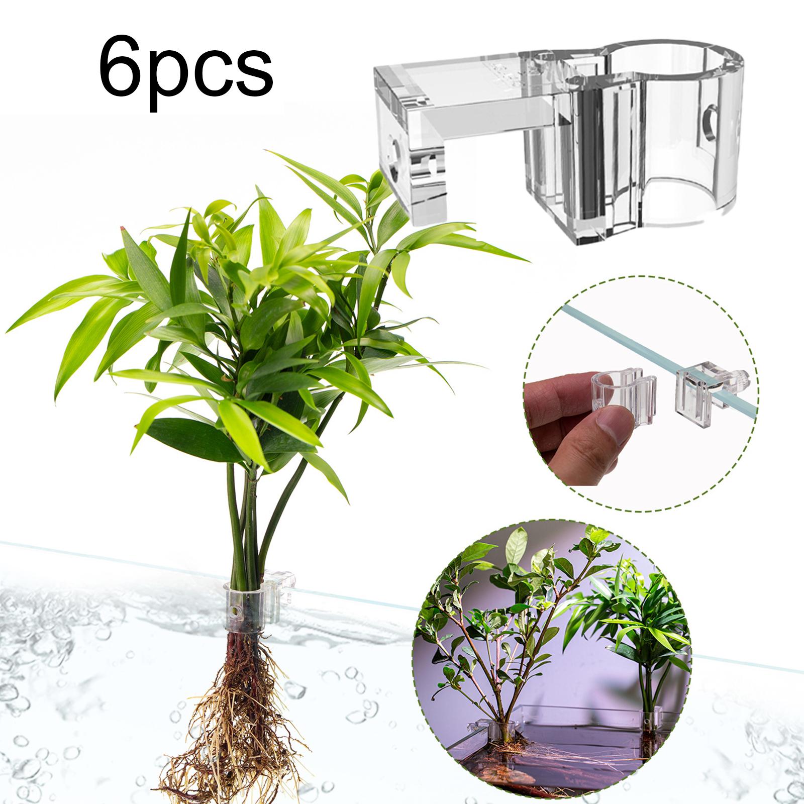 Прозрачный настенный держатель – обзор и цена Aquarium Planted Setup