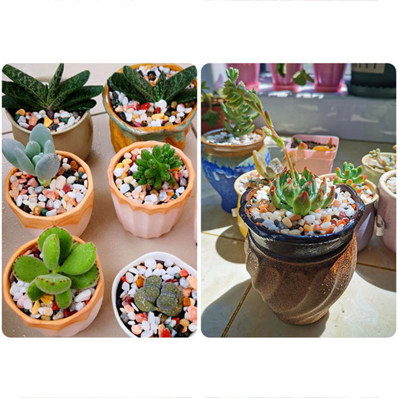 Натуральный аквариумный песок  – обзор и цена Planted Aquarium With Gravel