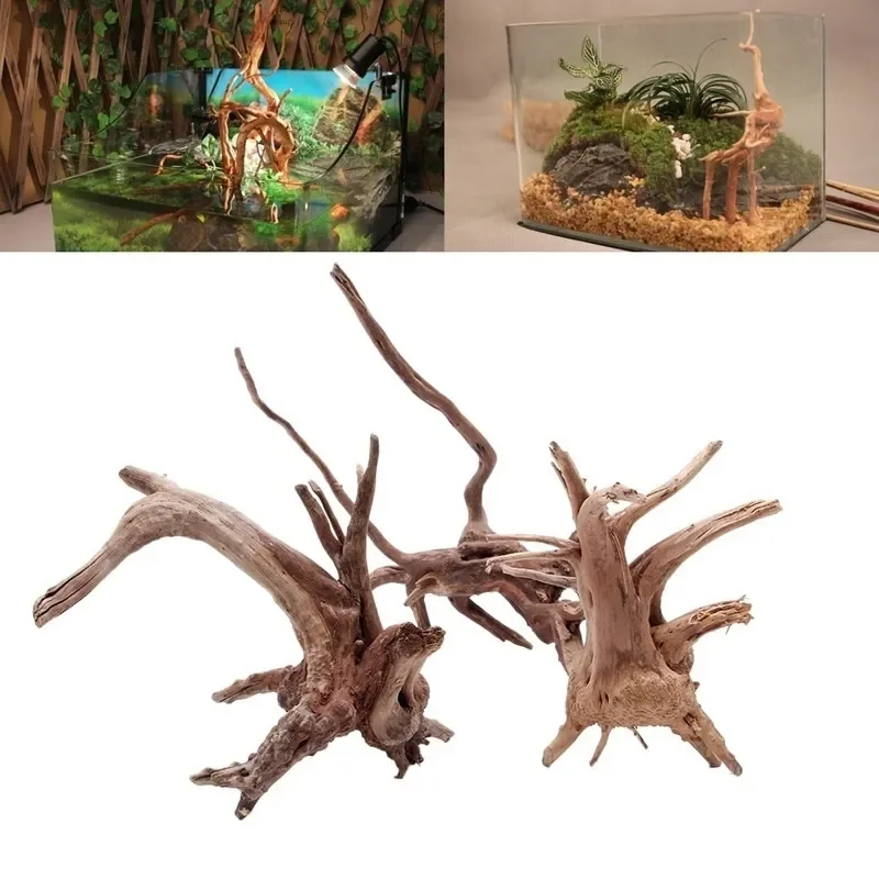 Натуральный ствол дерева Drift – обзор и цена Aquarium Plant Roots