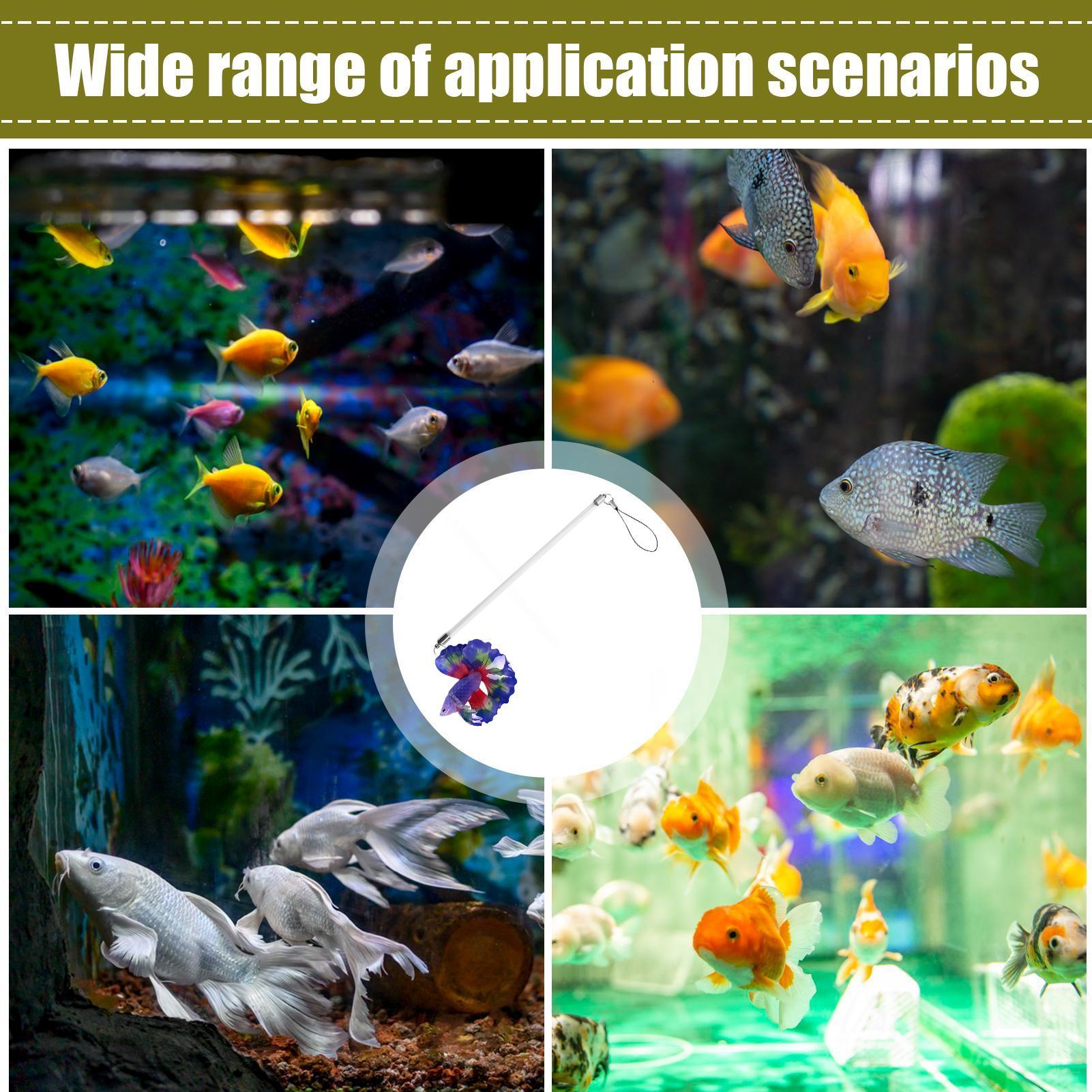 Интерактивная палочка для трен – обзор и цена Planted Aquarium For Beginners