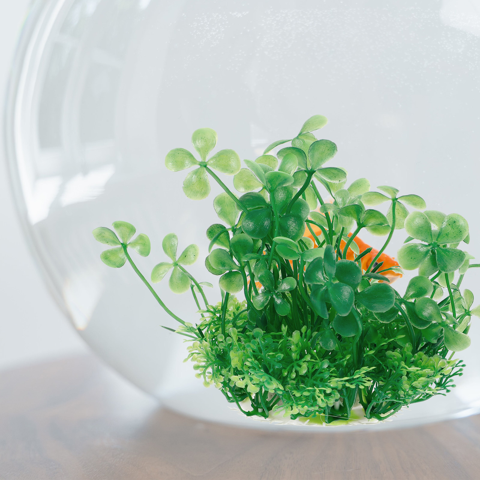 Искусственные растения для акв – обзор и цена Aquarium Planted Setup