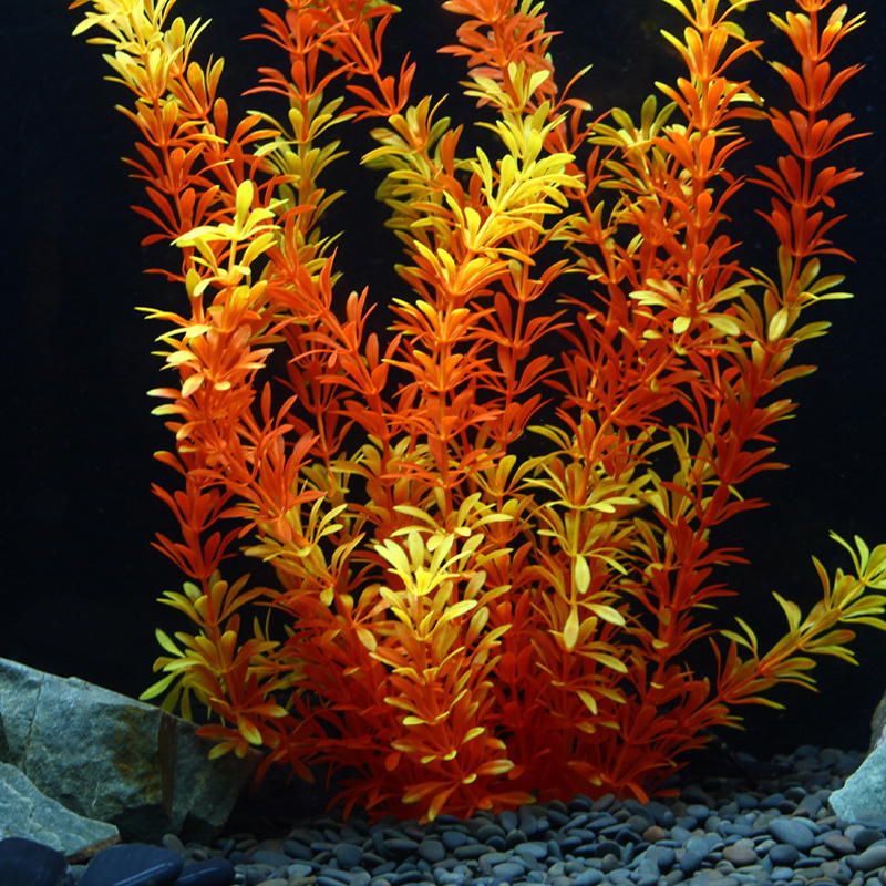 100 см Тропические растения, б – обзор и цена Aquarium Plant Roots
