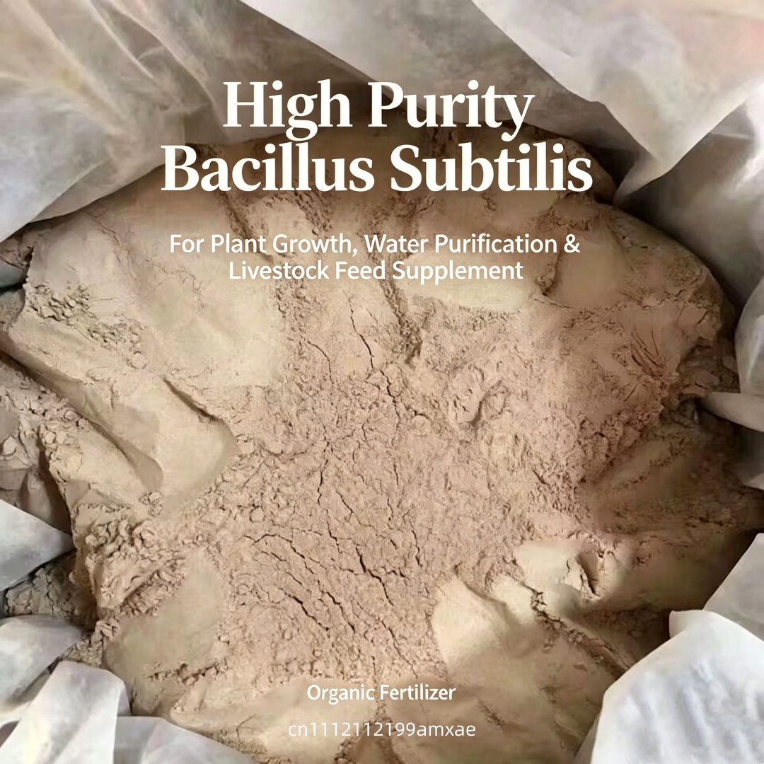 Высокоактивный порошок Bacillu – обзор и цена Aquarium Plant Roots