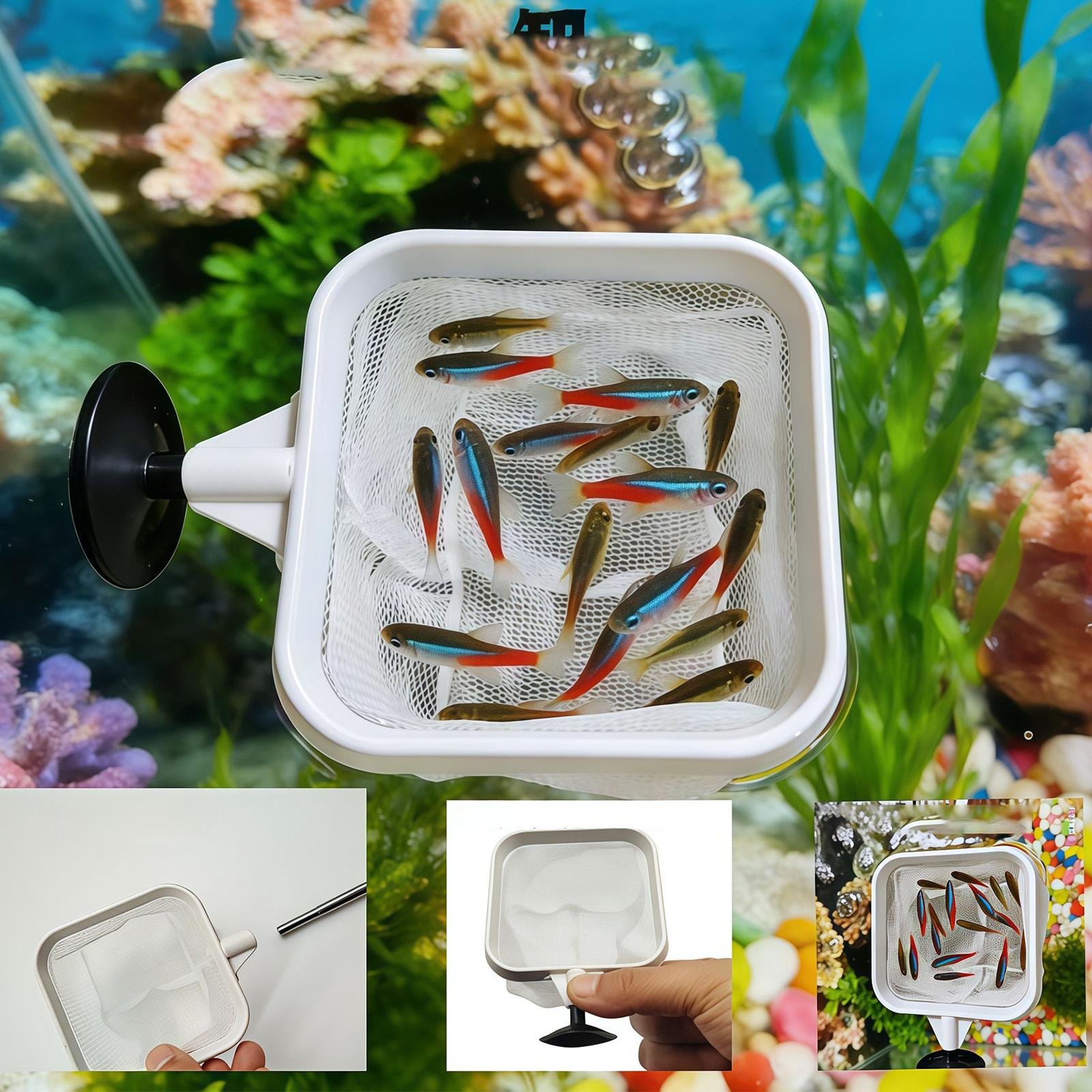 Удлиняемый сачок с длинной руч – обзор и цена Aquarium Plant Roots