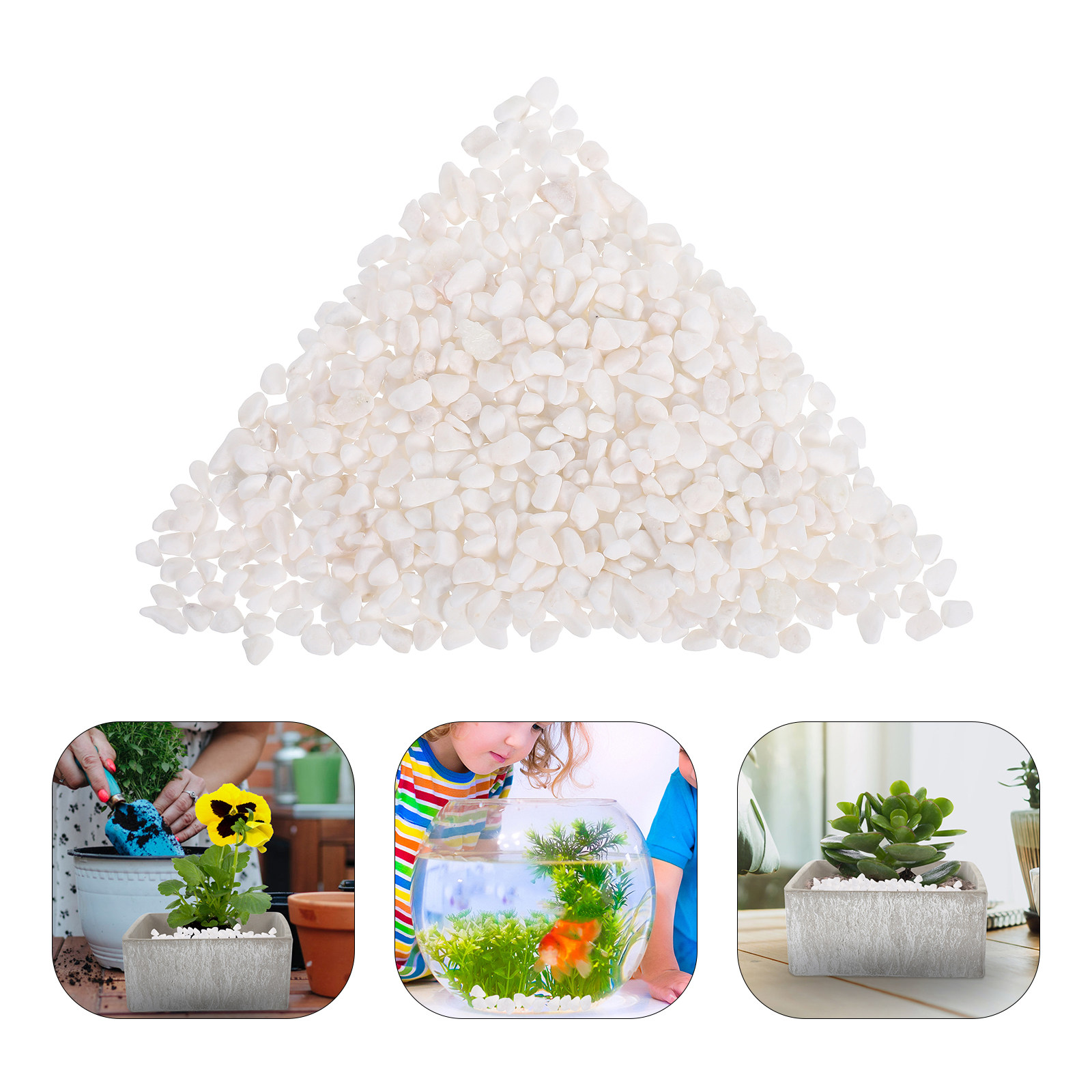 Натуральный декоративный грави – обзор и цена Planted Aquarium With Gravel