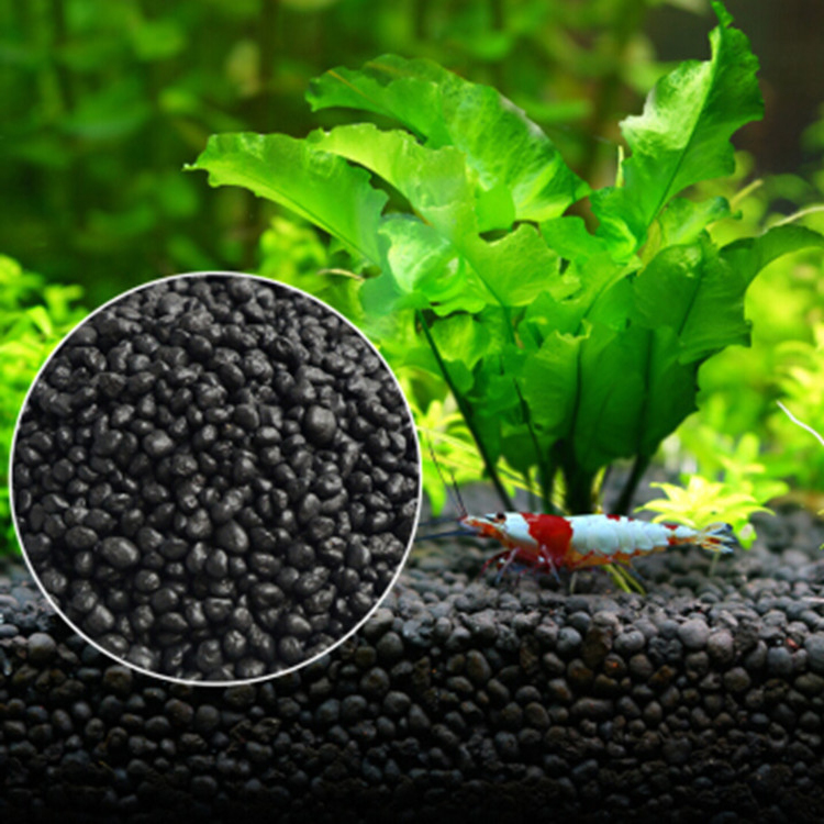 Семена аквариумных растений, п – обзор и цена Aquarium Planted Fish