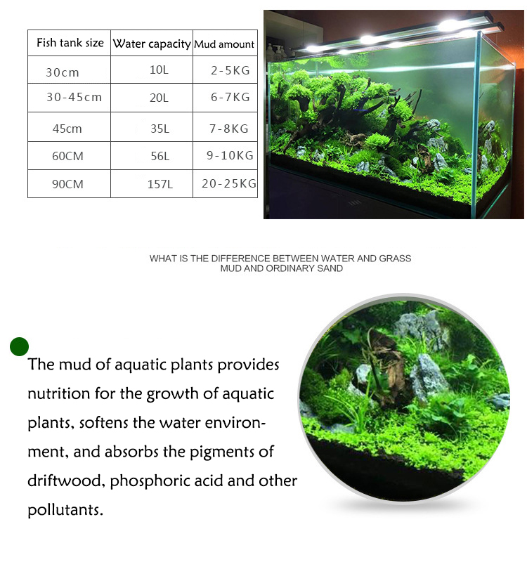 Семена аквариумных растений, п – обзор и цена Aquarium Planted Fish