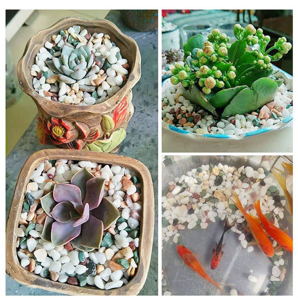 100 г натуральных кристаллов-г – обзор и цена Planted Aquarium With Gravel