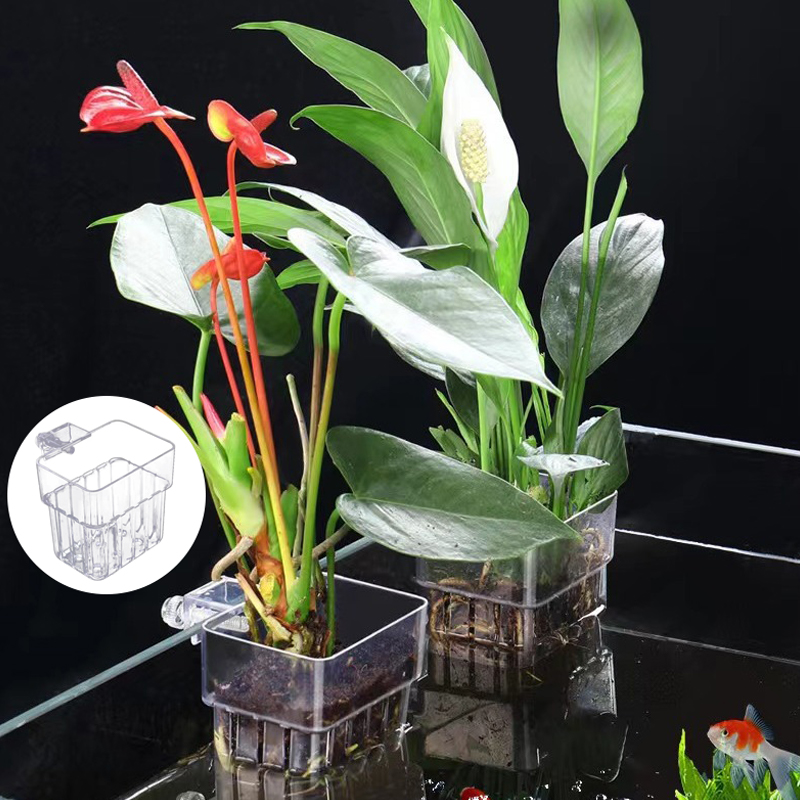 Многофункциональная коробка дл – обзор и цена Aquarium Planted Fish