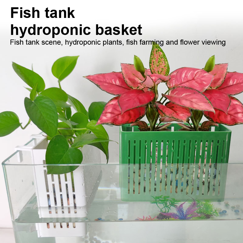 【F】Подвесная корзина для аквар – обзор и цена Aquarium Planted Fish