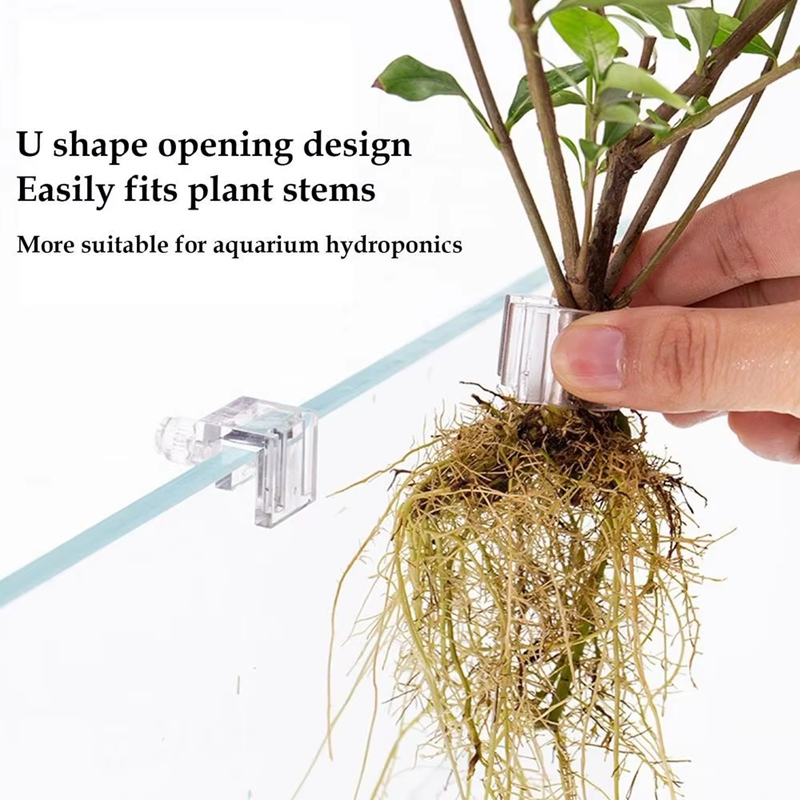 Горячая распродажа: 6 шт. проз – обзор и цена Aquarium Plants For Sale