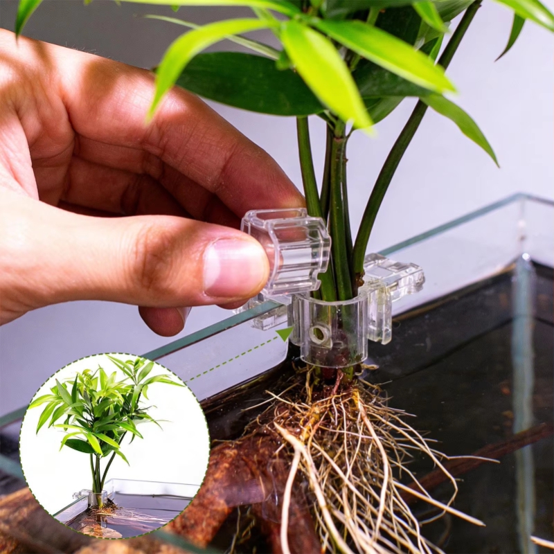 Горячая распродажа: 6 шт. проз – обзор и цена Aquarium Plants For Sale